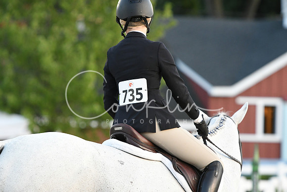 HSM_0486