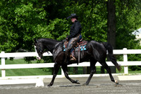 HSM_2661