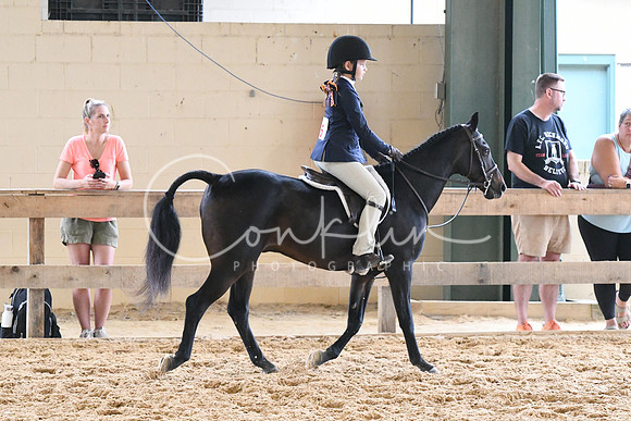 HSM_1363
