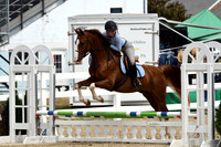 HSM_2516-1