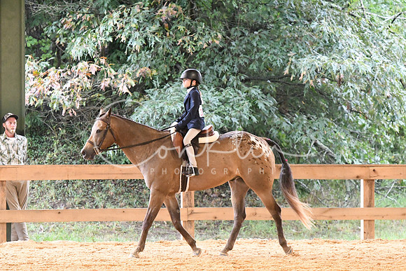 HSM_4436