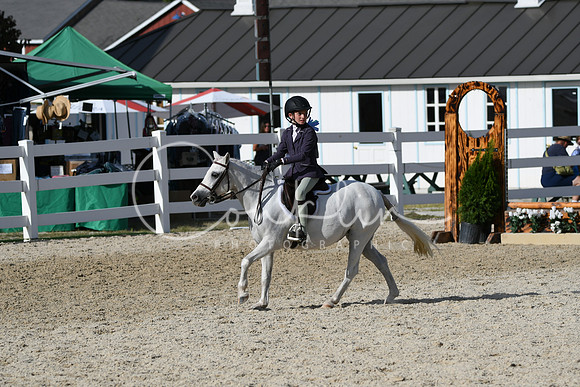HSM_4196