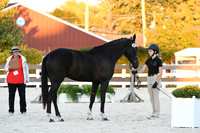 HSM_5679