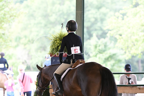 HSM_1195