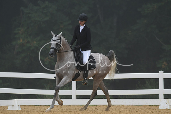 HSM_0651