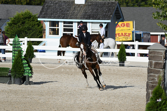 HSM_4324