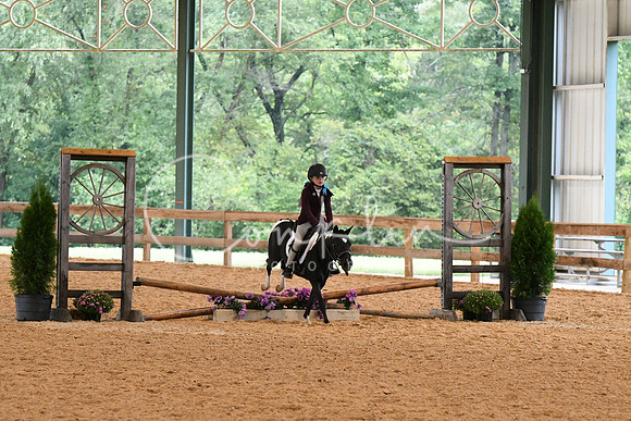 HSM_6073