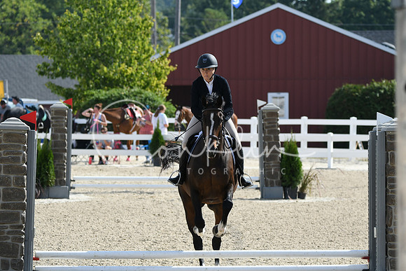 HSM_1772