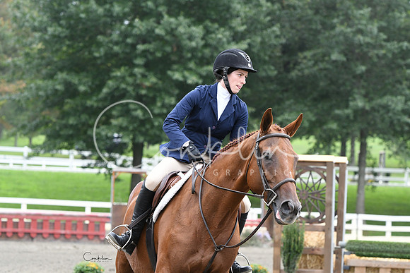 HSM_2648-1
