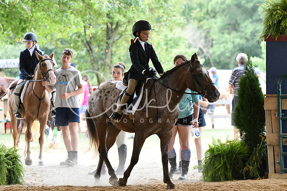 HSM_8594