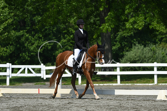 HSM_2273