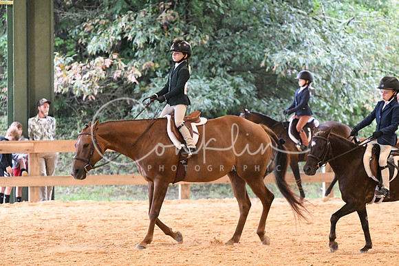 HSM_4441