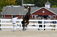 HSM_6189