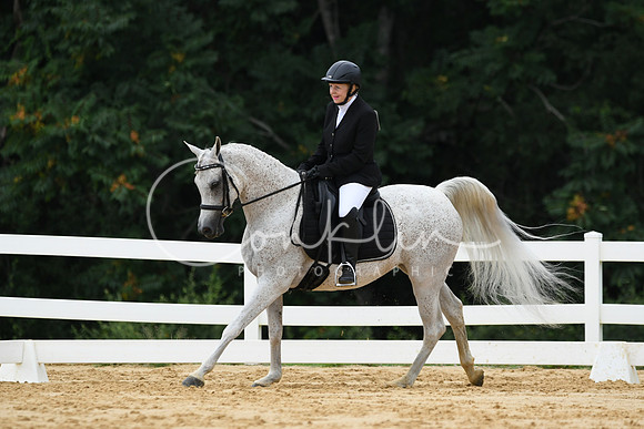 HSM_0298
