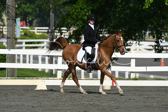 HSM_1049