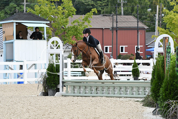 HSM_5318