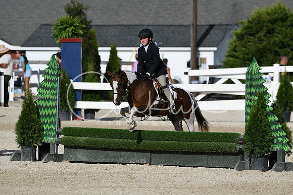 HSM_4169