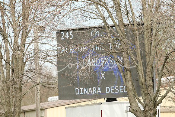 1I7A2843