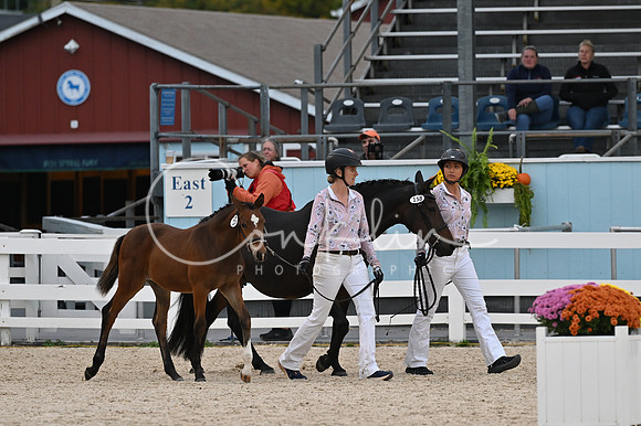 MAK_6045