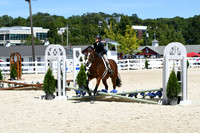 HSM_2943