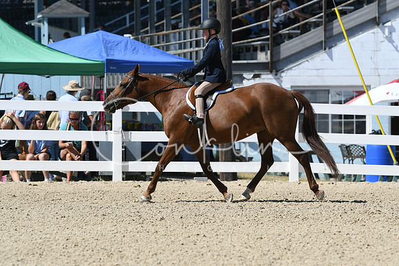 HSM_3326