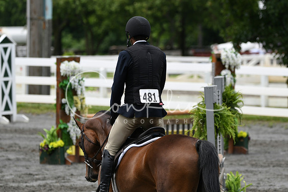 HSM_4176