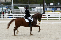 HSM_0351