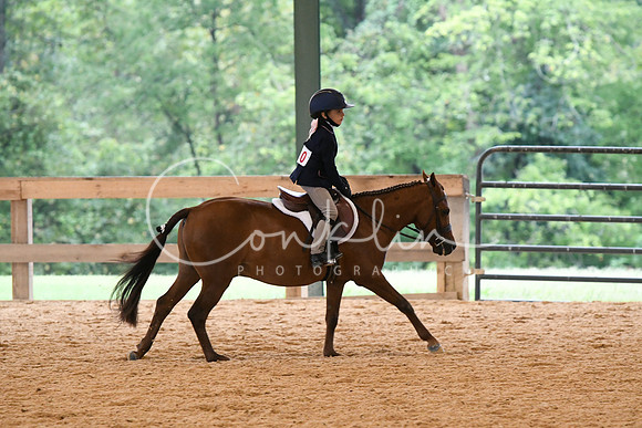 HSM_4967