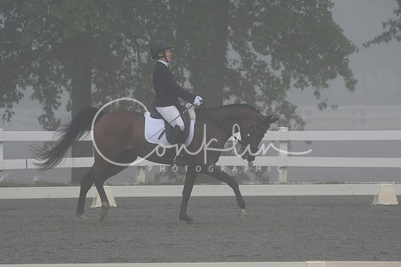 HSM_0731