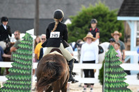 HSM_0978