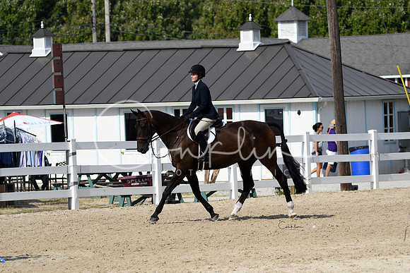 HSM_9623-2