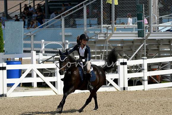 HSM_2033-1
