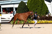 RJC30391