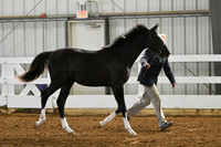 HSM_3621