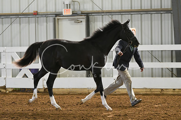 HSM_3621
