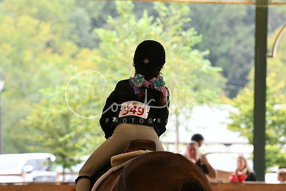 HSM_5976