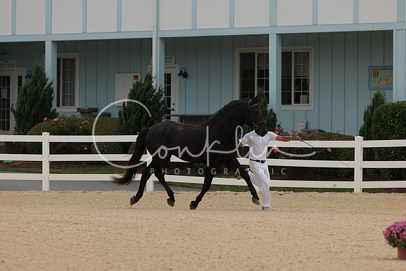 HLK_0534