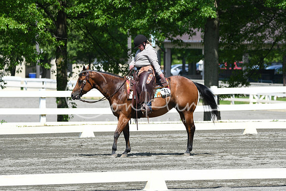HSM_2705