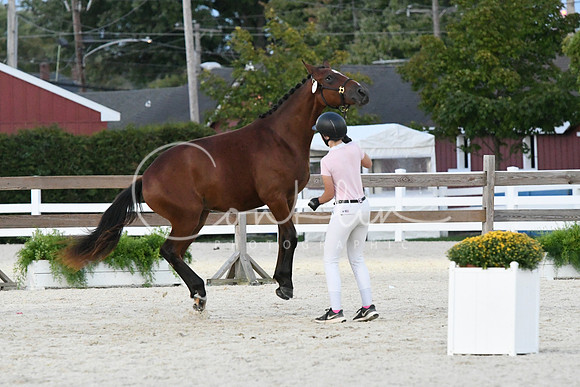 HSM_5762