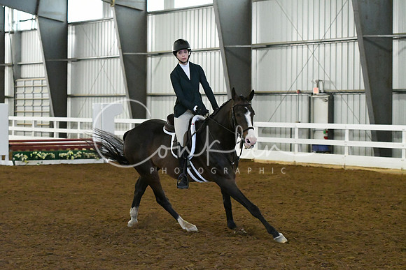 HSM_5538