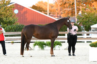 HSM_5713