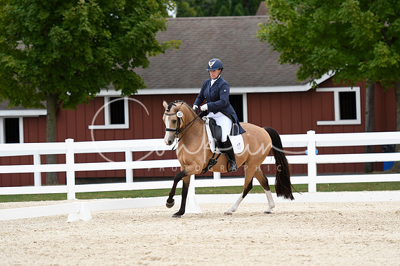 _TJP6997