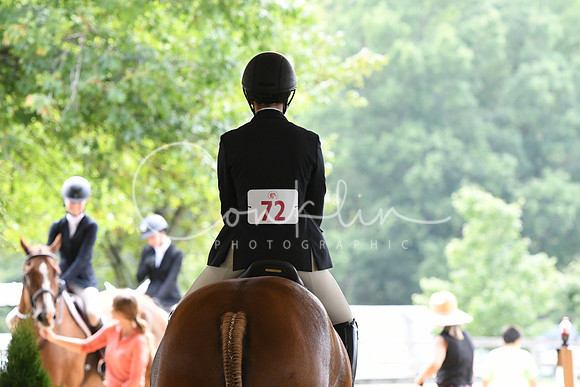HSM_2875