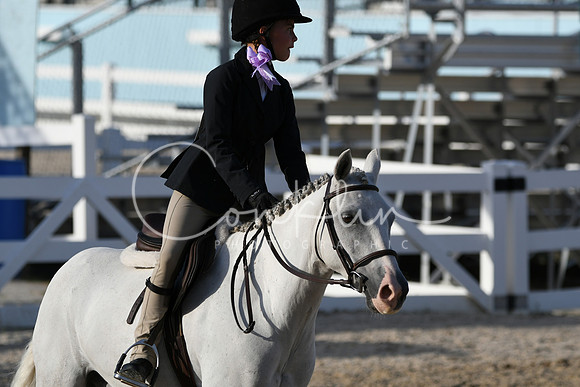 HSM_4467
