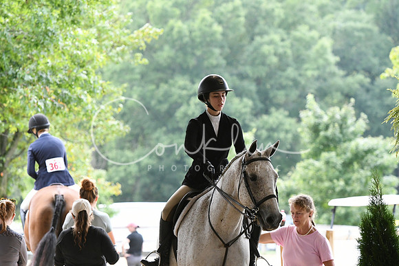 HSM_2929