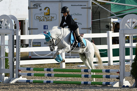 HSM_1196