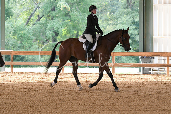 HSM_7451