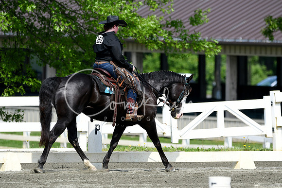 HSM_2664-1