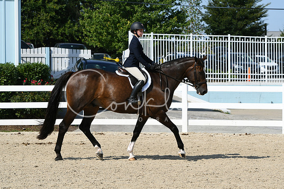 HSM_8302
