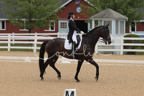 HLK_0981